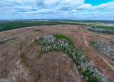 290 ACRES Highway 121 - Photo 11