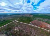 290 ACRES Highway 121 - Photo 4