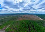 290 ACRES Highway 121 - Photo 5