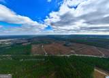 290 ACRES Highway 121 - Photo 8