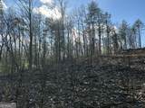 LOT 86 Lookout Ridge - Photo 6