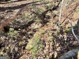 0 Corinth Church Road - Photo 8
