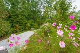443 Back Valley Road - Photo 72