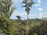 0 Crown Mountain - Photo 17