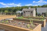 3915 Alba Street - Photo 42