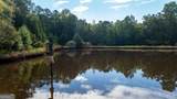 58.99 ACRES Bear Creek Road - Photo 10