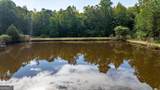 58.99 ACRES Bear Creek Road - Photo 11