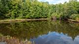 58.99 ACRES Bear Creek Road - Photo 13
