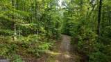 58.99 ACRES Bear Creek Road - Photo 20