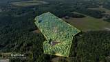 58.99 ACRES Bear Creek Road - Photo 27