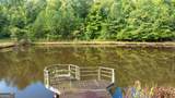 58.99 ACRES Bear Creek Road - Photo 9