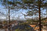 1559 Cedar Bluff Trail - Photo 11