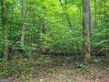 0 Big Creek Road - Photo 11