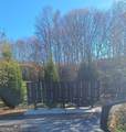 0 Big Valley Drive - Photo 3