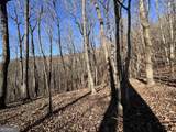 245 Sassafras Mountain Trail - Photo 3