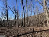 245 Sassafras Mountain Trail - Photo 4