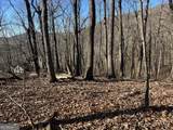 245 Sassafras Mountain Trail - Photo 5