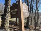 0 Sassafras Court - Photo 7