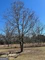 201 Claude Anderson Road - Photo 24