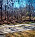 0 Cowart Mountain Tract 1 Road - Photo 6