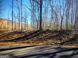 0 Cowart Mountain Tract 1 Road - Photo 8
