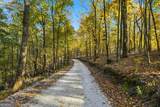 1500 Sunset Trail - Photo 1