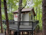 290 Turkey Trot Road - Photo 8