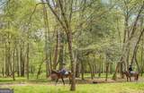 1081 Apalachee Ridge - Photo 104