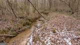 740 Broad River Church Rd Tract A - Photo 2