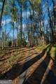 500 Piedmont Road - Photo 3
