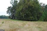 19.6 ACRES Grant Road - Photo 12