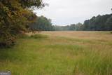 19.6 ACRES Grant Road - Photo 14