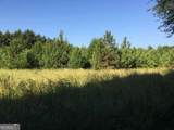 19.6 ACRES Grant Road - Photo 18