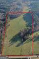 19.6 ACRES Grant Road - Photo 8