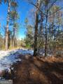LOT 56 Hornets Bridge Drive - Photo 11
