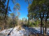 LOT 56 Hornets Bridge Drive - Photo 14