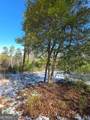 LOT 56 Hornets Bridge Drive - Photo 15