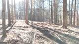 6147 Little Ridge Road - Photo 9