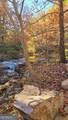 LOT 5 Gold Ridge Trail - Photo 10