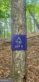 LOT 5 Gold Ridge Trail - Photo 2