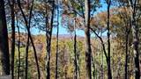 LOT 5 Gold Ridge Trail - Photo 4