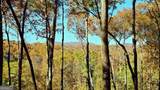 LOT 5 Gold Ridge Trail - Photo 6