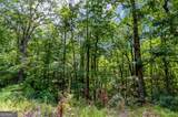 4.69 AC Rockwater Road - Photo 5