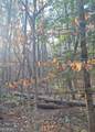 0 Bent Wood Lane - Photo 2