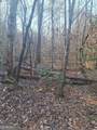 0 Bent Wood Lane - Photo 3