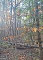0 Bent Wood Lane - Photo 4
