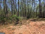 0 Thurmond Road 8.64 Acres Road - Photo 5