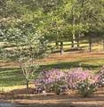 210 Etowah Landing - Photo 67