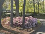 210 Etowah Landing - Photo 68
