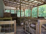 3879 Caney Head Road - Photo 15